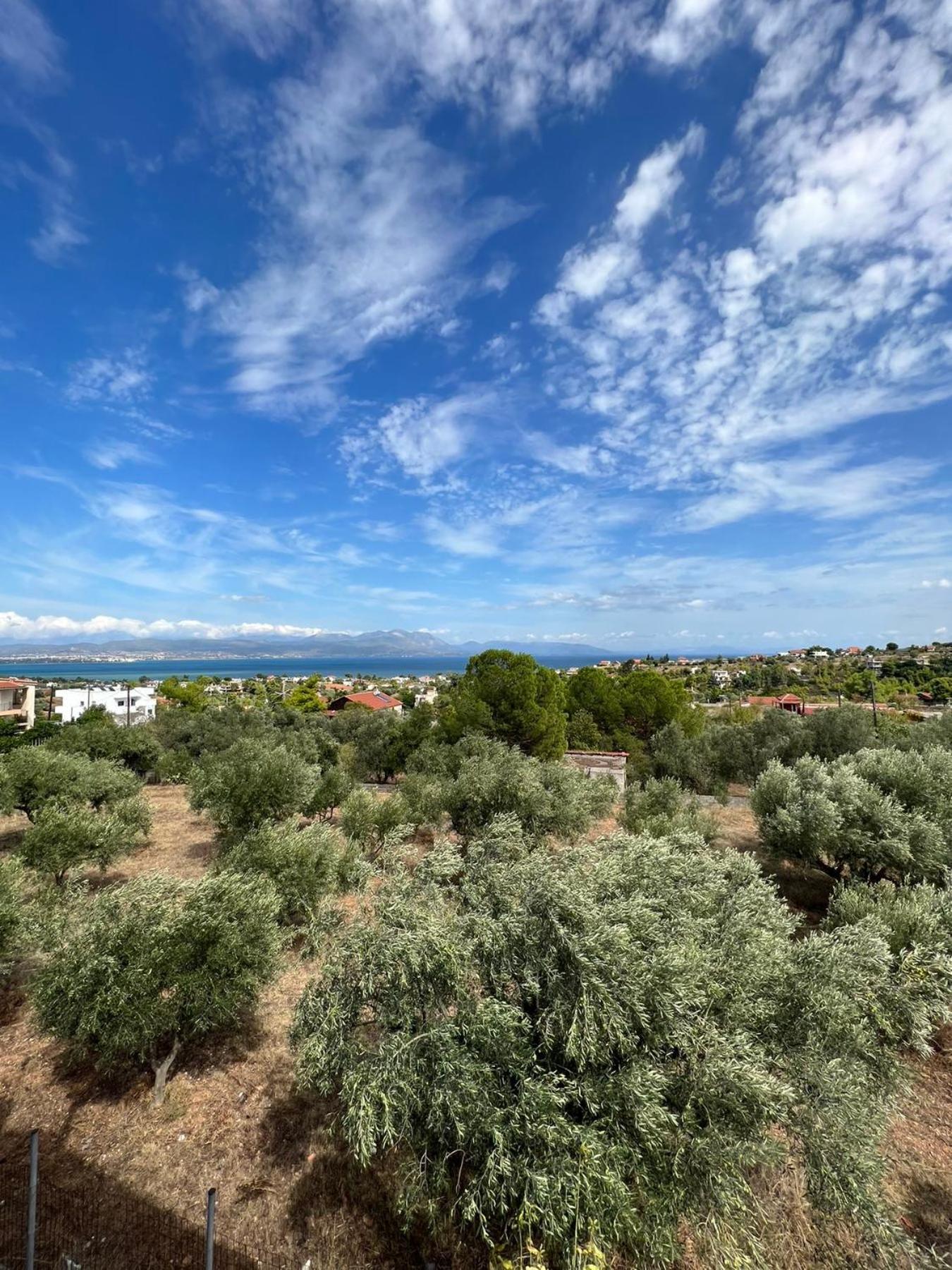 הוילה Paralia Avlidhos Xenia'S Seaview House מראה חיצוני תמונה